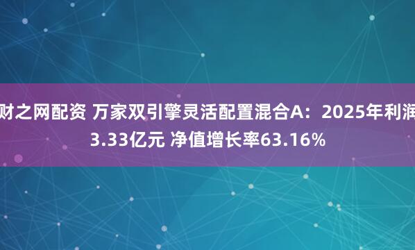 财之网配资 万家双引擎灵活配置混合A：2025年利润3.33亿元 净值增长率63.16%